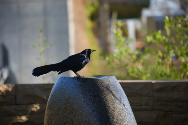 BrandLens Photography - Image 7